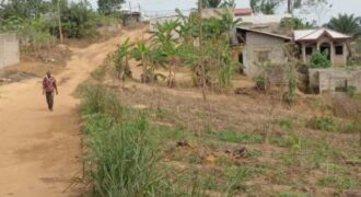 Terrain à vendre Douala pk17 – P.Im